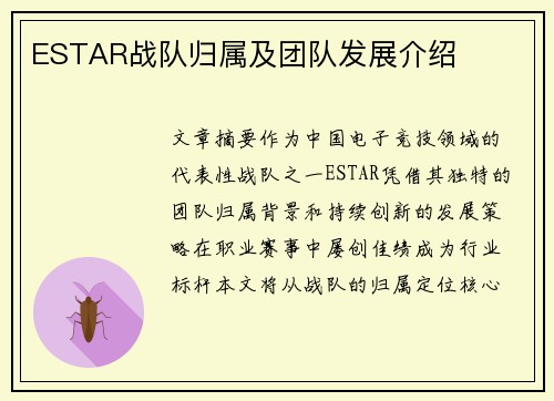 ESTAR战队归属及团队发展介绍