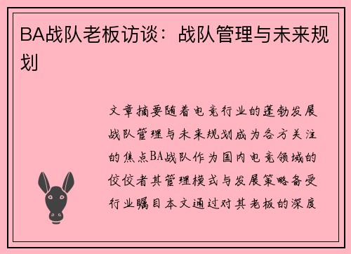 BA战队老板访谈：战队管理与未来规划