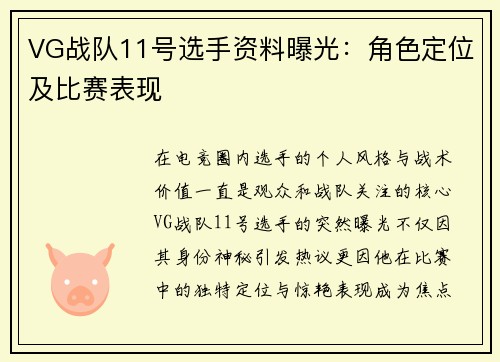 VG战队11号选手资料曝光：角色定位及比赛表现
